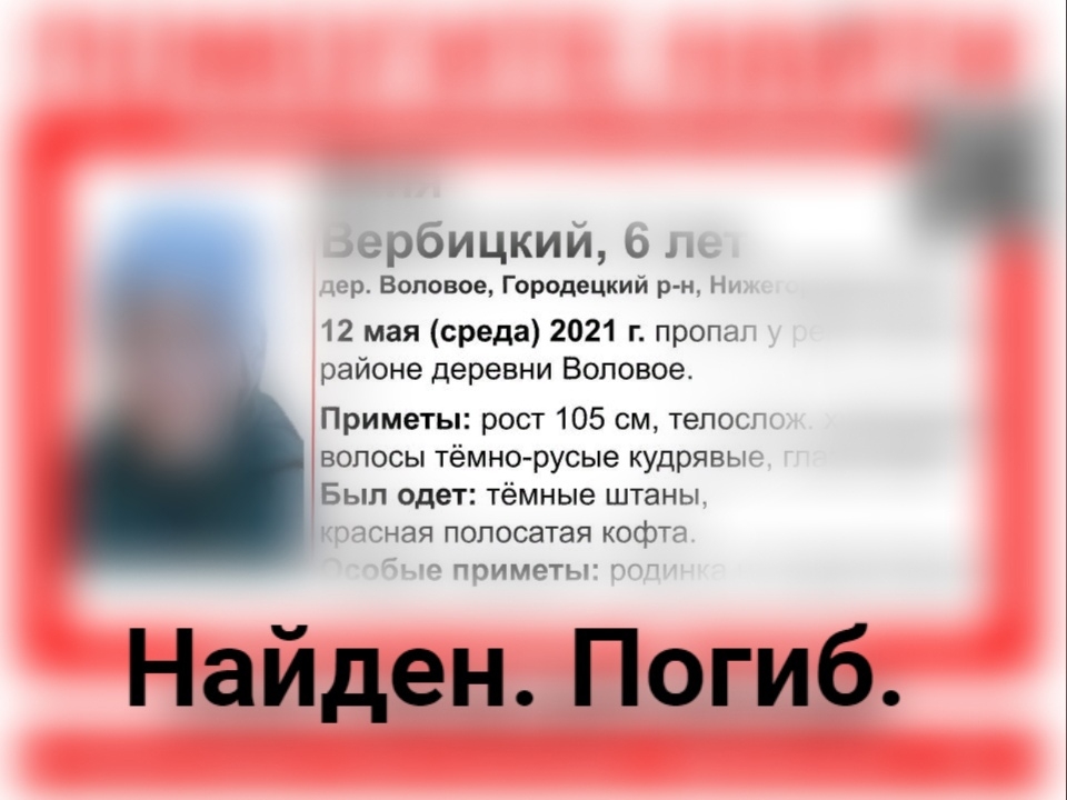 Image for Пропавший в Городецком районе 6-летний мальчик найден погибшим