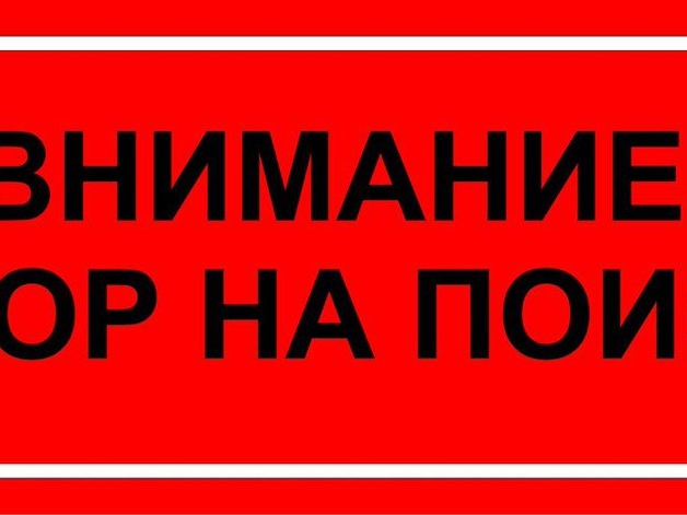 Срочный сбор на поиск 73-летнего Алексея Сердцова объявлен в Балахнинском районе