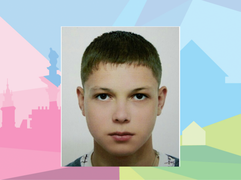 Image for 15-летнего Тимофея Гришина ищут в Нижегородской области