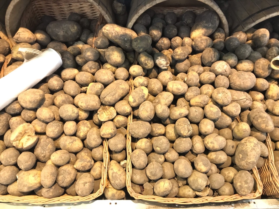 Image for Карантинное заболевание выявили в партии экспортируемого картофеля из Нижегородской области