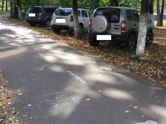 Image for 134 нижегородца получили штраф за парковку на газонах
