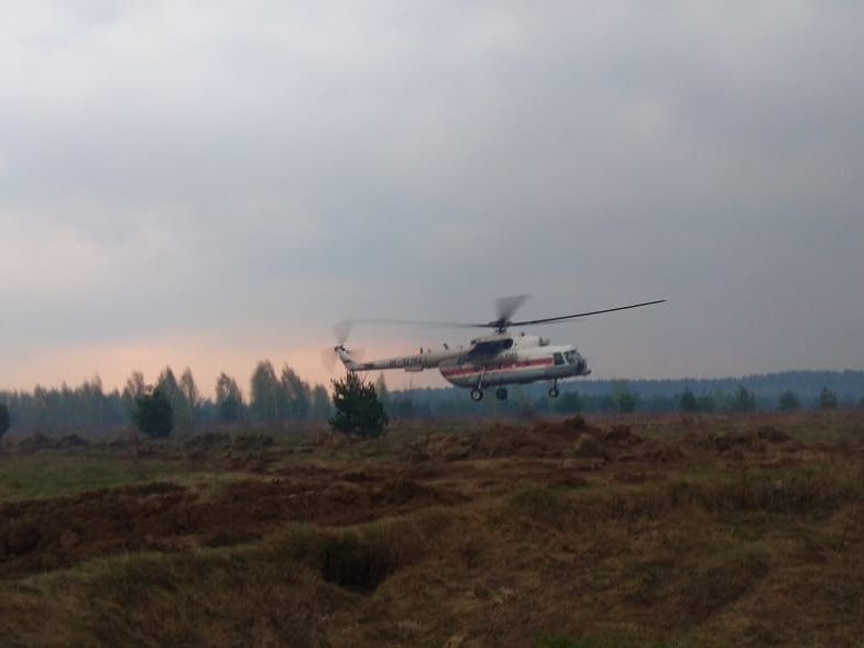 Image for В Навашинском районе трава загорелась на площади в 170 гектаров