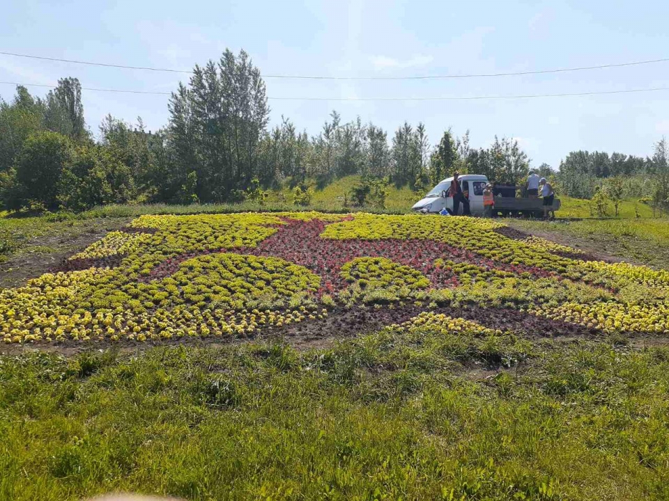 Image for Олень из 15 тысяч цветов появился на Ларина в Нижнем Новгороде