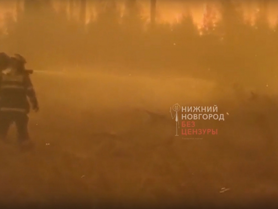 Image for Сотрудники нижегородских спецслужб чуть не погибли при тушении лесов в Мордовии