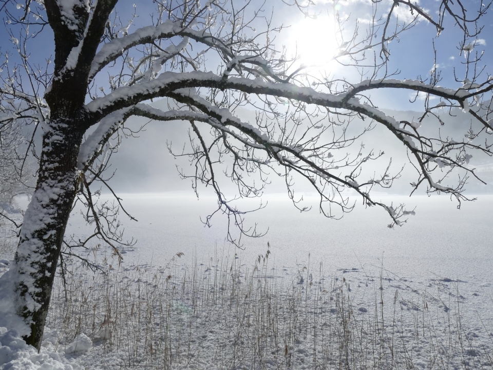 Image for Небольшой снег с морозами до -10 °С обещают в Нижнем Новгороде 22 января