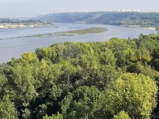 Image for Подрядчик рассказал подробности благоустройства парка «Швейцария»