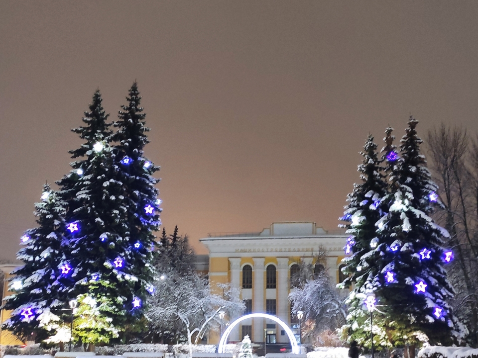Image for 13 новогодних елей установили в Сормовском районе к 9 декабря
