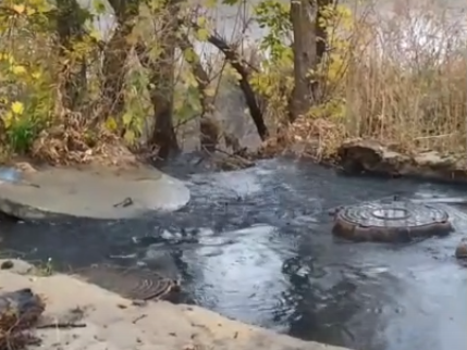 Нечистоты из канализационных колодцев льются в озеро на Автозаводе