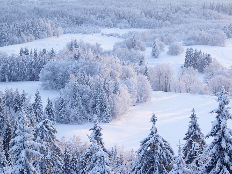 Синоптики рассказали, когда начнется зима в Нижегородской области