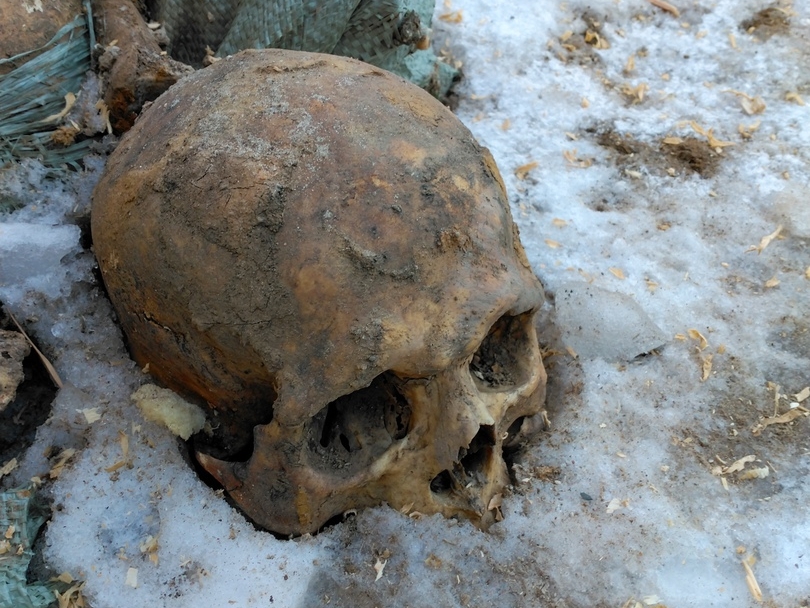 Image for В РПЦ рассказали, куда денут найденные в Нижегородском кремле черепа людей