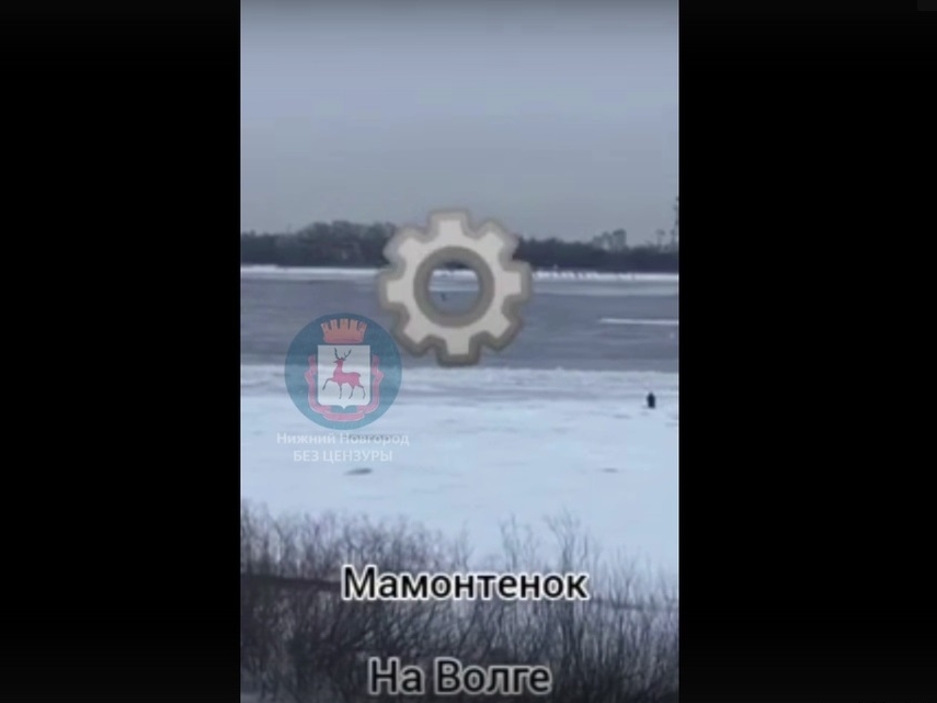 Image for Очередной нижегородский рыбак стал жертвой тонкого льда. Видео