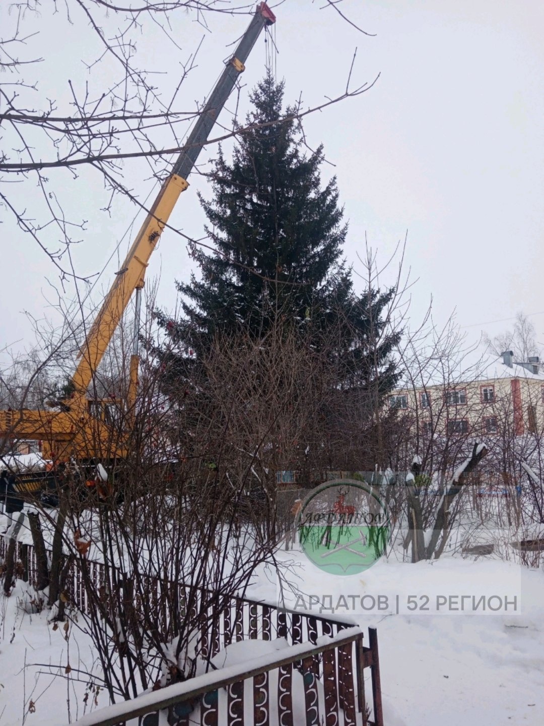 Чиновники спилили ель пенсионерки и установили ее в центре Ардатова |  08.12.2023 | Нижний Новгород - БезФормата