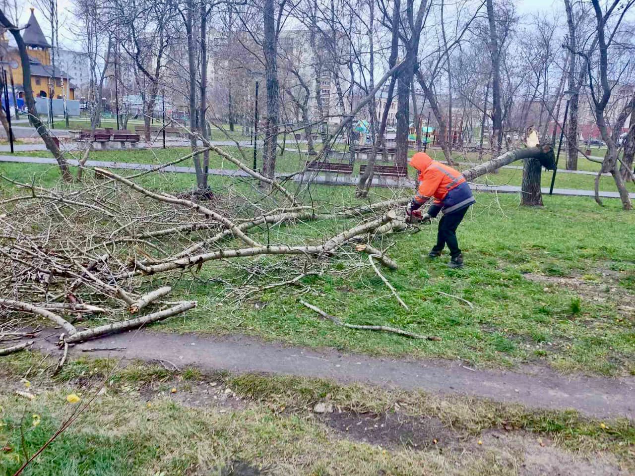 Нижний новгород буря. Последствия урагана. Сильный ветер деревья. Результат дерево повалили. Ураган в городе.