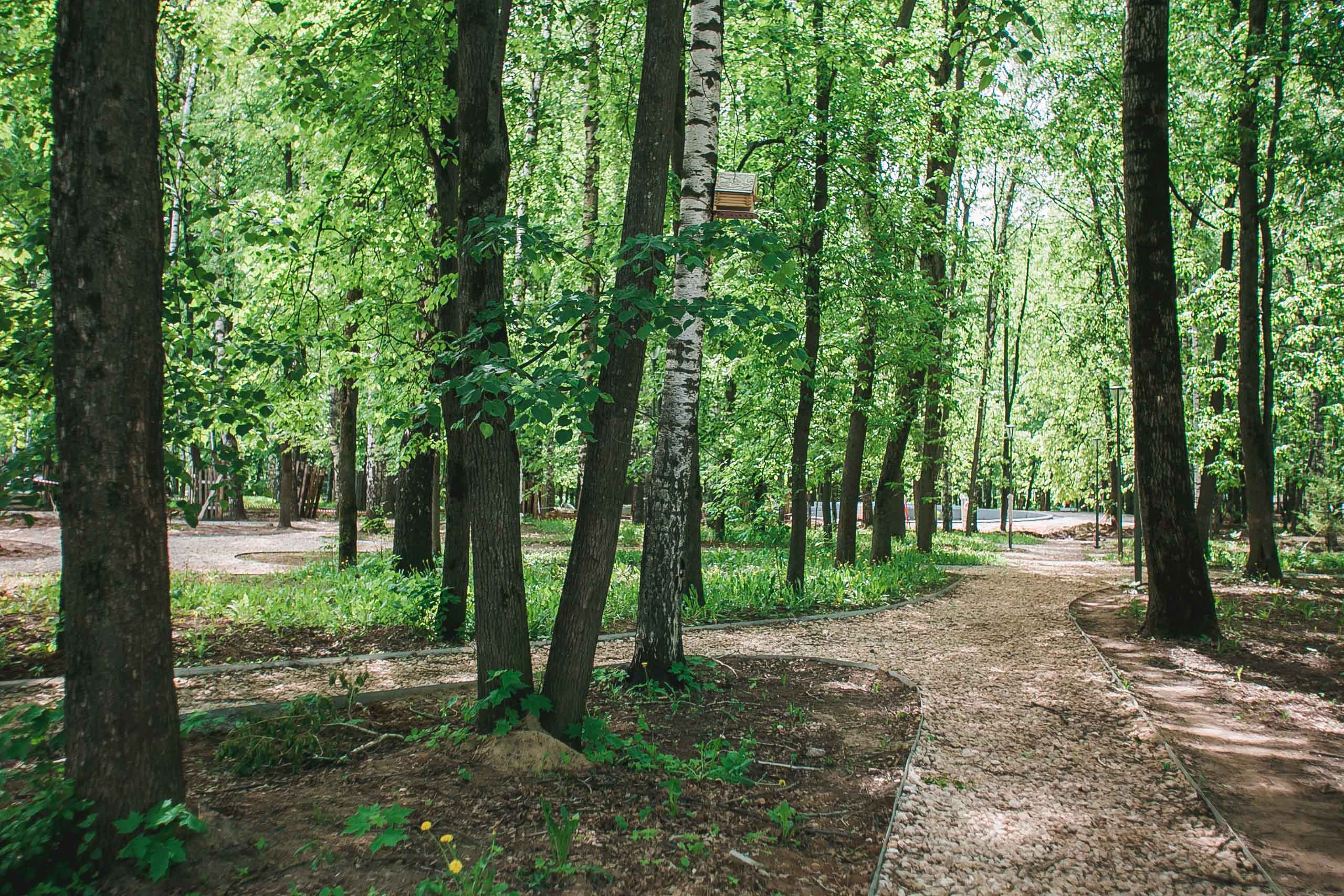 Парк швейцария нижний фото