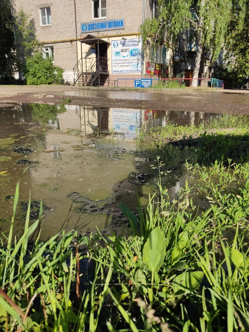 Улицу в Балахне затопило фекалиями из-за прорыва канализации | 17.06.2022 |  Нижний Новгород - БезФормата