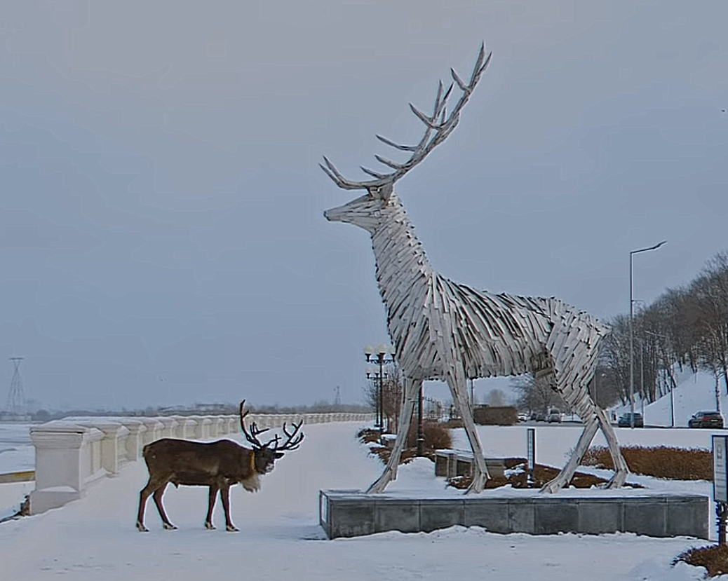 Олень нижний новгород. Олень на Нижневолжской набережной в Нижнем Новгороде зима. Нижегородские олени памятники. Олень на набережной Нижний Новгород зима.