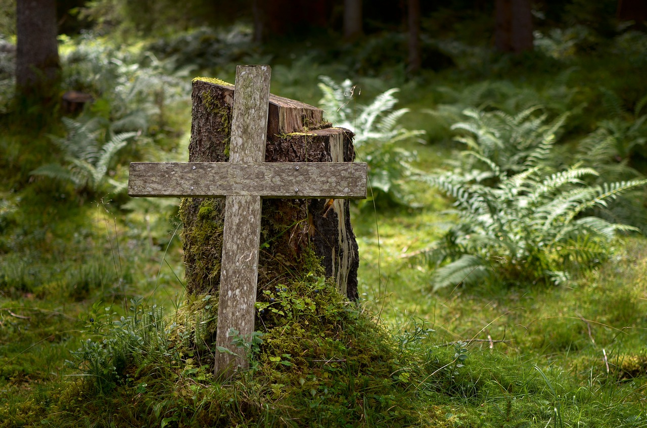 Православный крест в лесу