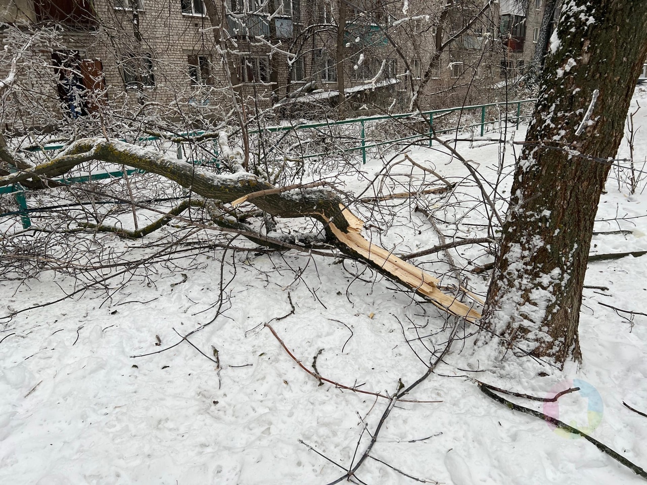 Жилой дом остался без света из-за обрыва ЛЭП в центре Нижнего Новгорода |  Открытый Нижний