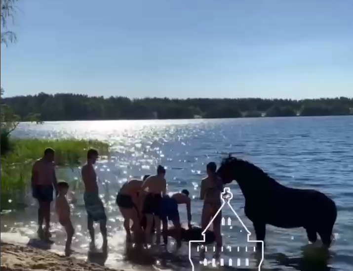 Утонули лошади. Озеро ЗКПД-4 Нижний Новгород. ЗКПД 4 озеро.