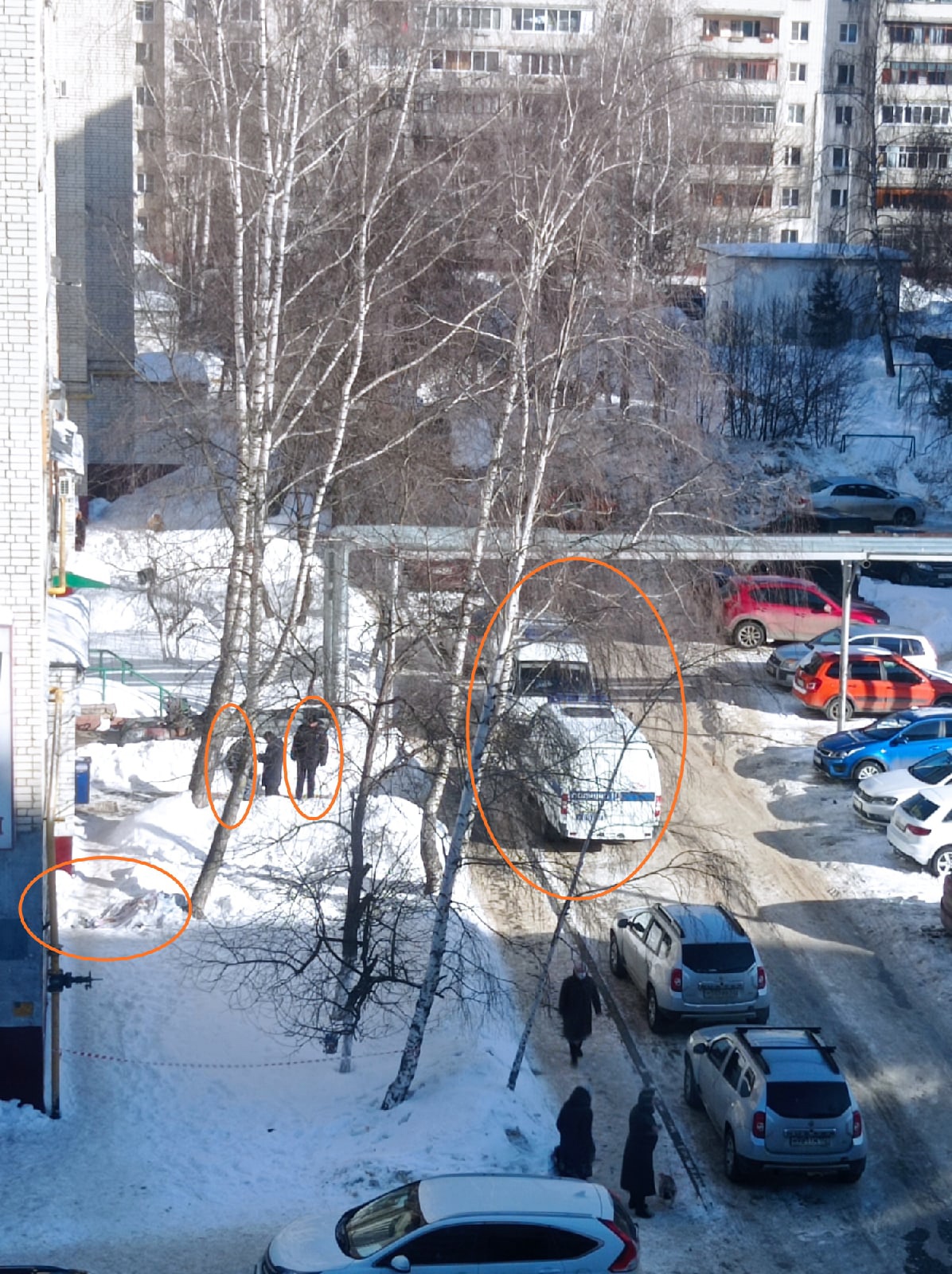 Девушка выпала из окна нижний. Выпал из окна в Нижнем Новгороде. Мужчина выпал из окна Нижний Новгород. Фото из окна Нижний Новгород. Клин выпал человек из окна.