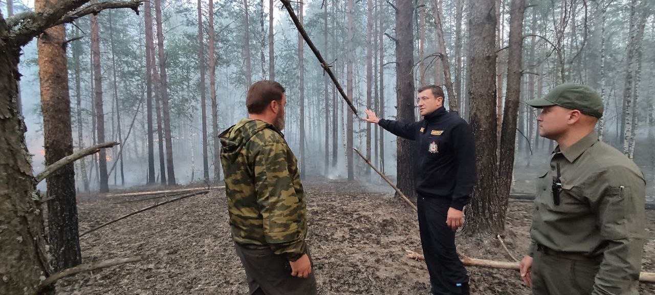 Связывая территории. Кузьмияр Нижегородская область пожар. Лесной пожар в Воротынском районе. Волки в лесах Кировской области. Лесные пожары в Рязанской области фото.