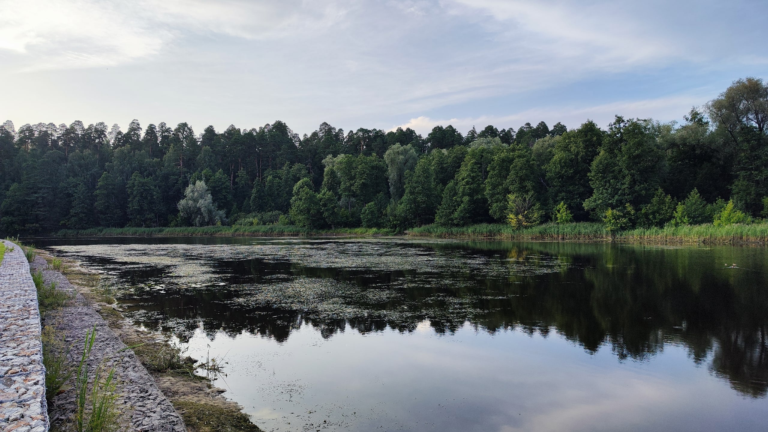 Нижегородцы пожаловались на обмеление реки Сатис в Сарове | Открытый Нижний