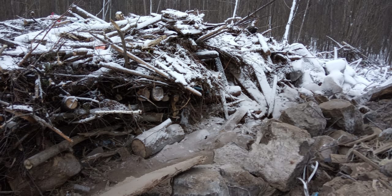 Отходы нижегородская область. Свалки Нижегородской области. Свалка в Балахне. Балахнинский полигон. Незаконные свалки в лесах Балахнинского.