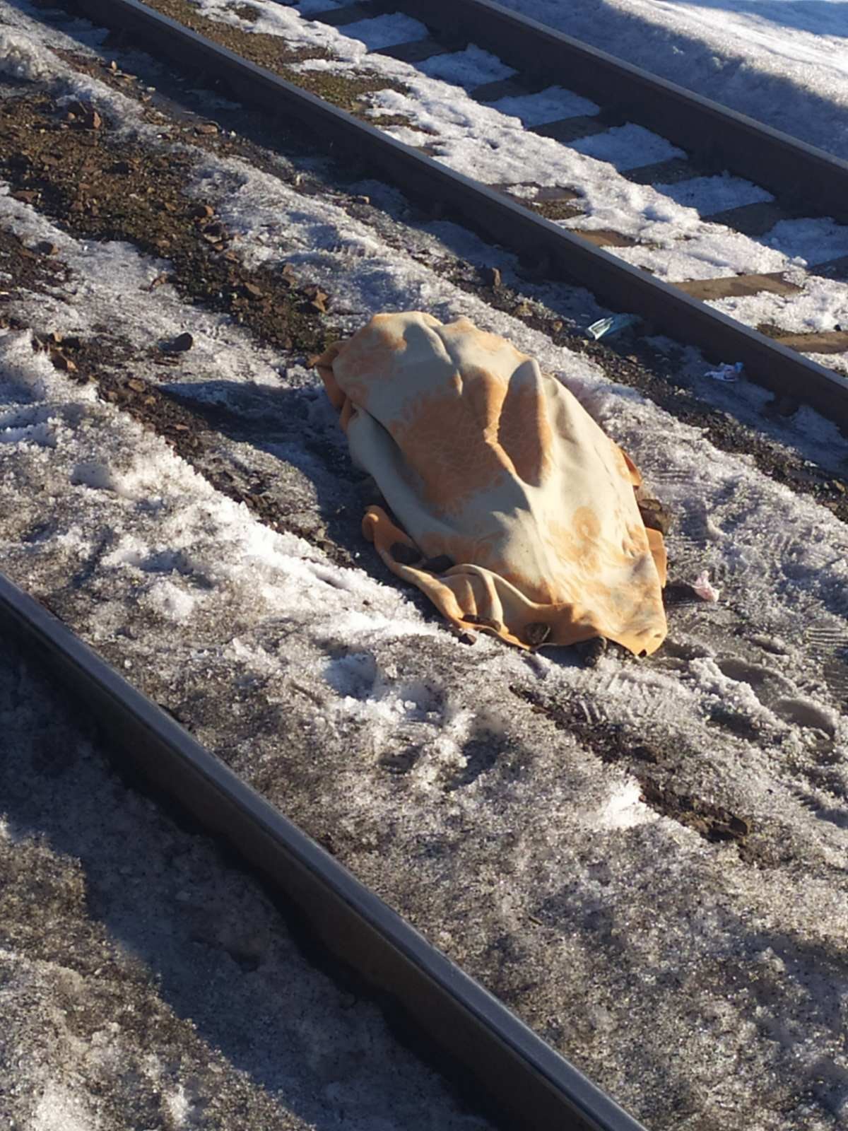 Погибшие под колесами поезда