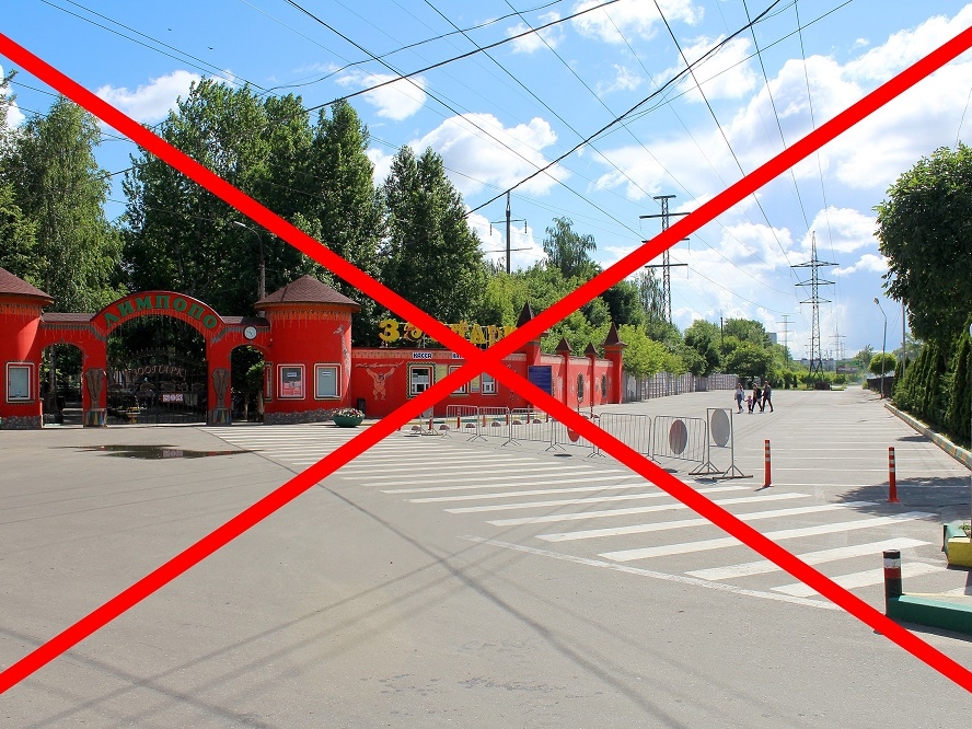 Image for Автостоянку у зоопарка «Лимпопо» закрыли по решению суда