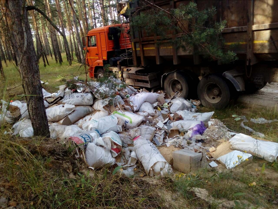 Работа по ликвидации свалок мусора ведется в лесах Дзержинска