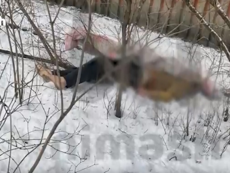 Image for Труп мужчины нашли под окнами многоэтажки в центре Нижнего Новгорода