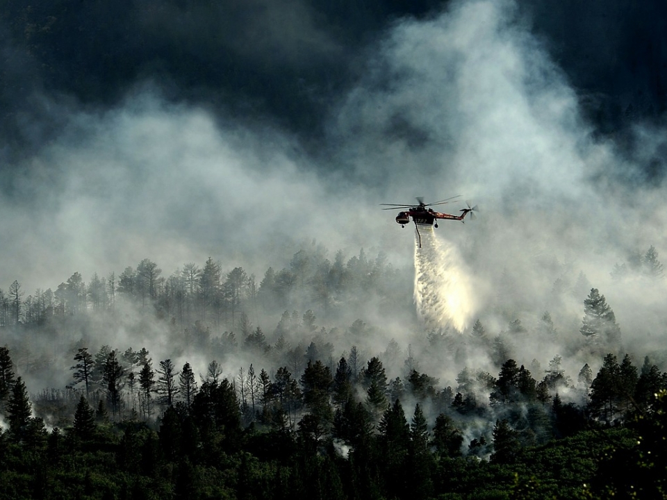 Image for Высокая пожароопасность лесов сохранится в Нижегородской области 1-2 июля