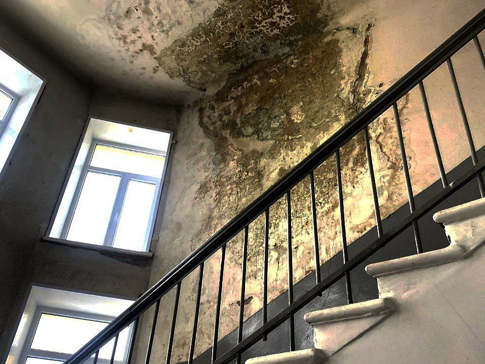 Image for В дзержинской больнице прокомментировали огромную плесень на потолке