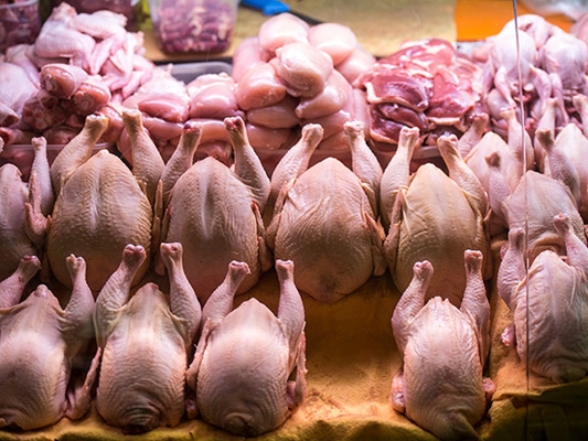 Image for В курином мясе нижегородского производителя нашли опасные бактерии