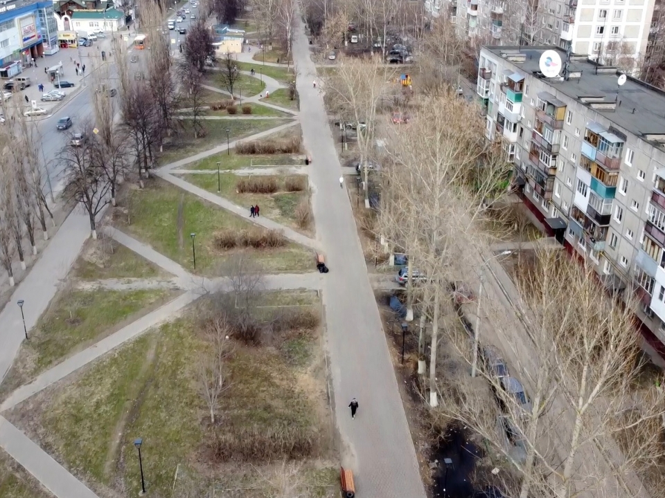 Image for Около 700 деревьев и кустарников высадят на улице Дьяконова в Нижнем Новгороде