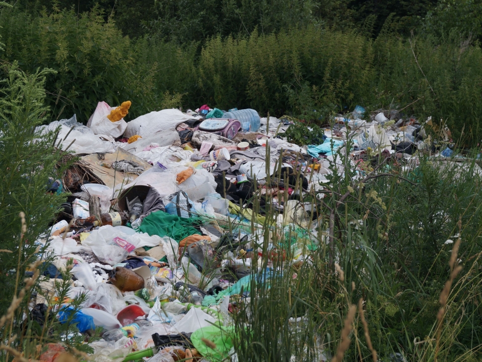 Image for Более 150 нелегальных свалок ликвидировали в Нижнем Новгороде в 2024 году