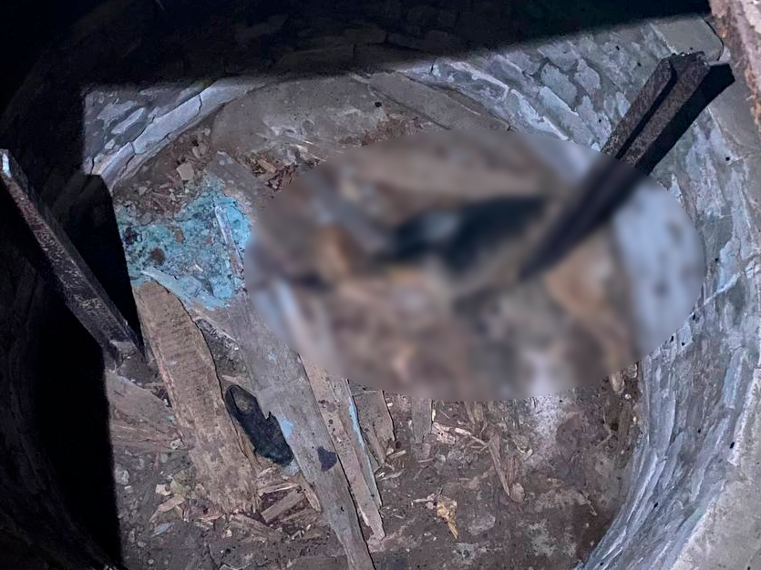 Image for Живодер в Пыре жестоко изувечил и убил собаку в погребе дома