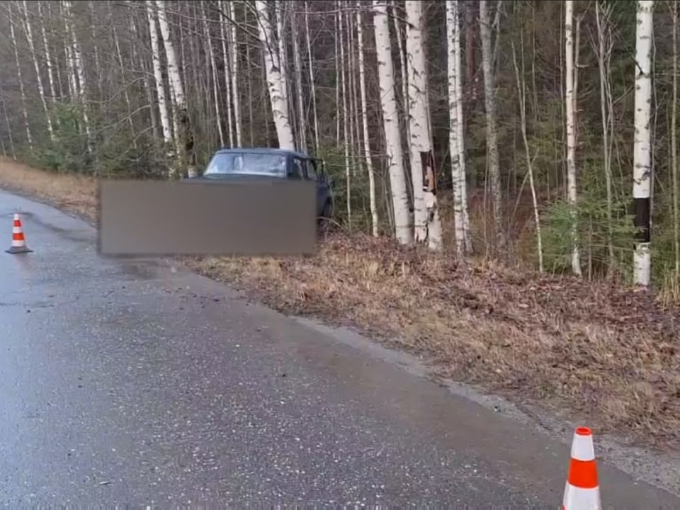 Image for Водитель «Жигулей» врезался в дерево и погиб в Нижегородской области