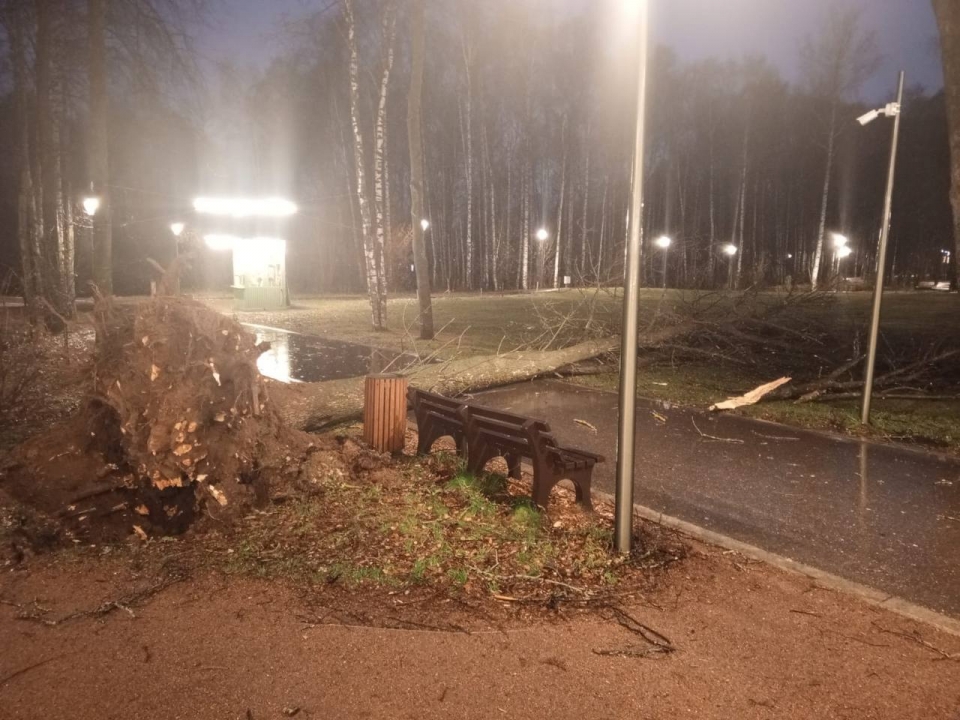 Image for Опубликованы кадры последствий урагана в Нижегородской области