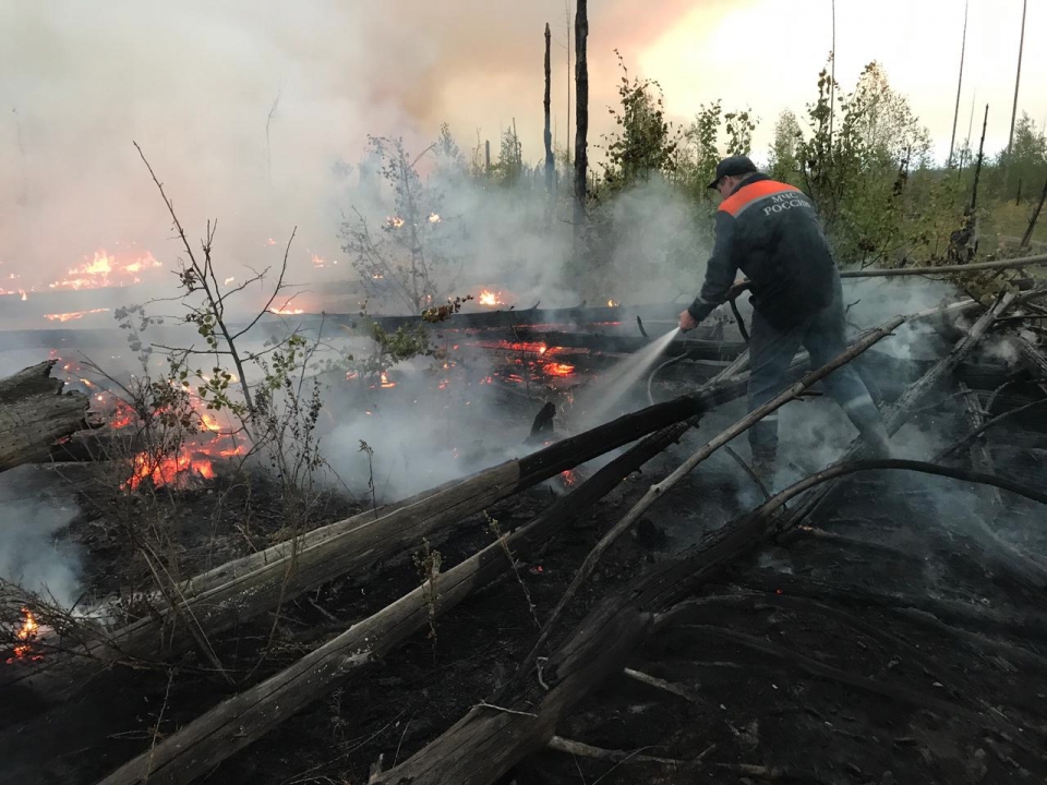 Image for Нижегородские спасатели помогают тушить пожар в заповеднике Мордовии