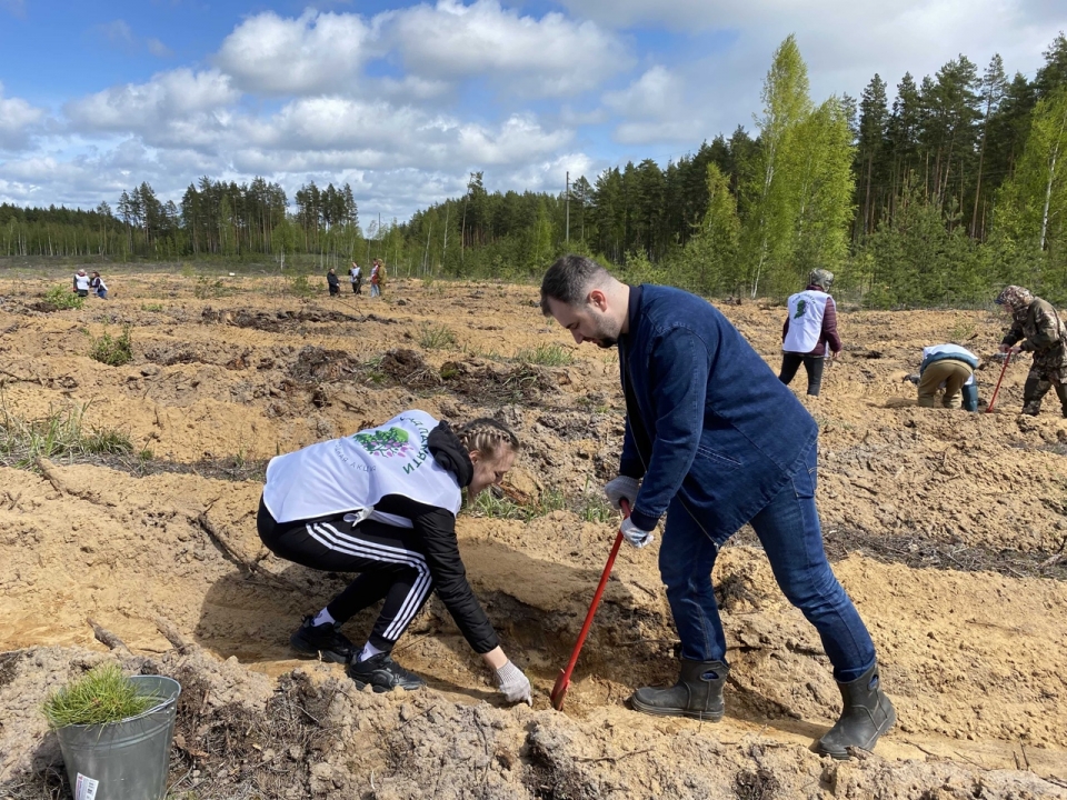 Image for Больше 300 тысяч деревьев высадили нижегородцы в рамках акции «Сад памяти»
