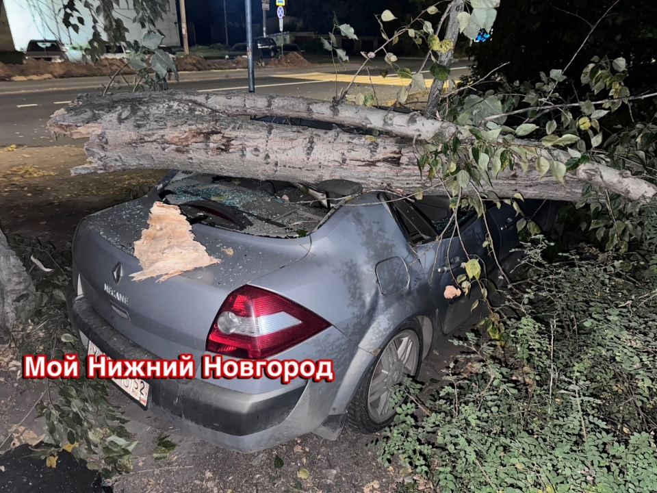 Image for Сильный ветер повалил дерево на машину в Нижнем Новгороде